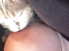 Porn Xxx Wedding