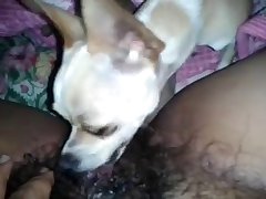Xxx Asian Girls Porn