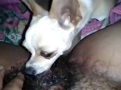 Xxx Asian Girls Porn