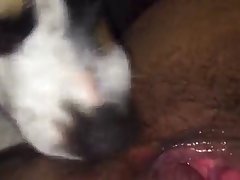 Xxx Mom Porn