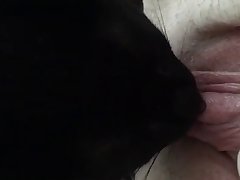 Forced Gay Sex Porn Xxx