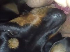 Ukraine Porn Star Xxx