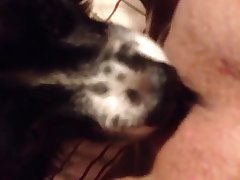 Lance Anime Xxx Porn