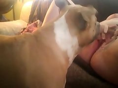 Hd Fucking Porn Xxx