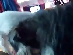 Anime Pussy Porn Xxx