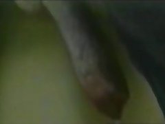 Bridgette B Feet Porn Xxx Porn