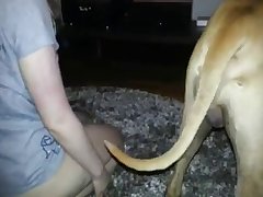 Https Www.google.com Search Q=xxx Porn Video