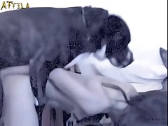 Gay Zoo Porn Gif