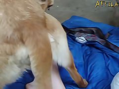 Teen Animal Sex With A Dog On The Floor