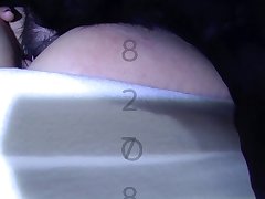 Animal Sex Fun Xxx