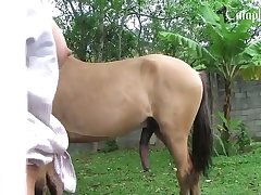 Double Penetration Zoo Porn