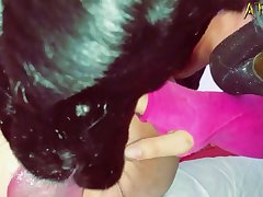 Animal Sex Sites