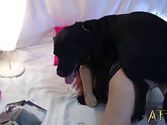 Animal Sex Porn Dog