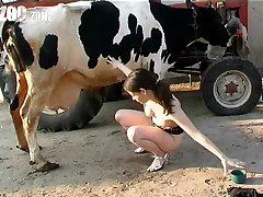 Family Animal Sex Stories