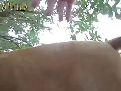 Animal Crossing Ankha Pornhub
